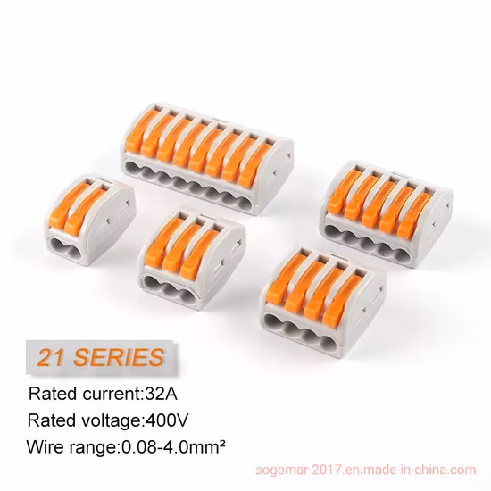 Push-up 2 Pack Bra with Scallop Edging on Cups with Elastic Band