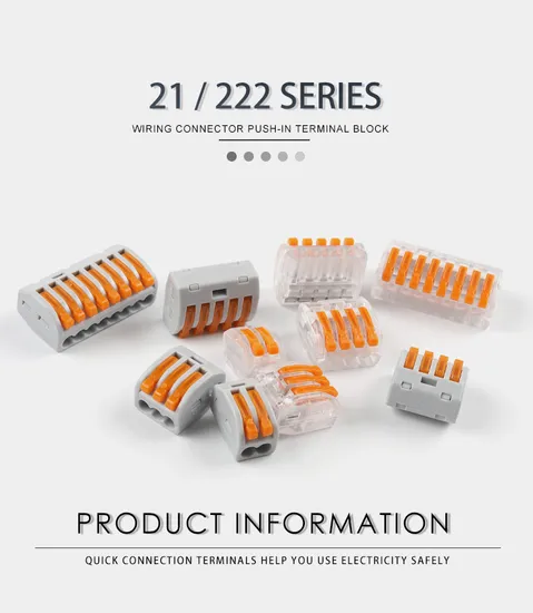 Push-up 2 Pack Bra with Scallop Edging on Cups with Elastic Band